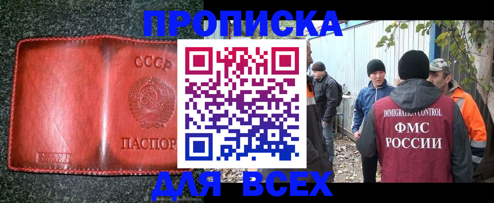 временная регистрация поиск в Новгородской области